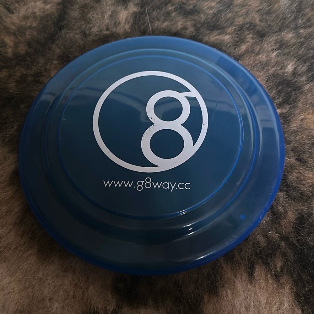 Blue kids frisbee